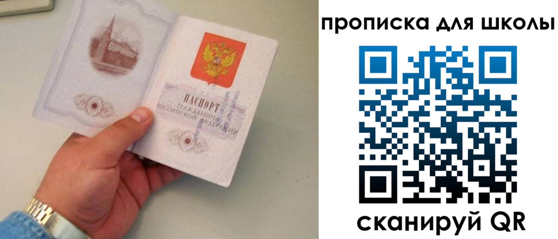 временная регистрация поиск в Амурской области